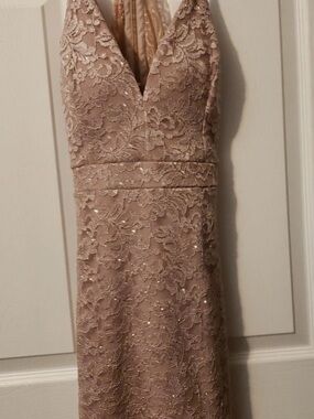 NWT- Emerald Sundae Strapless Sequin Lace Dress in Blush Pink